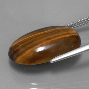 14.42캐럿 천연 골드 브라운 Tiger's Eye, 타원형 컷, 21.1×13.8 mm, 불투명체