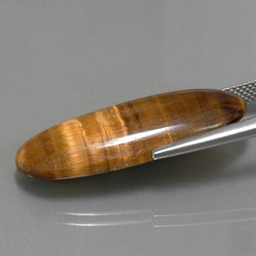 18.16캐럿 천연 골드 브라운 Tiger's Eye, 타원형 컷, 31.5×12.1 mm, 불투명체