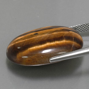 25.04캐럿 천연 골드 브라운 Tiger's Eye, 타원형 컷, 23.9×18 mm, 불투명체