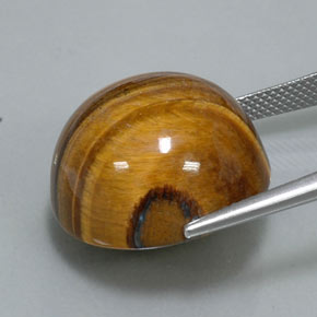 36.26캐럿 천연 골드 브라운 Tiger's Eye, 라운드 컷, 20.16 mm, 불투명체