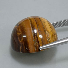 38.37캐럿 천연 골드 브라운 Tiger's Eye, 라운드 컷, 20.07 mm, 불투명체