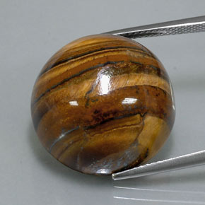 39.32캐럿 천연 골드 브라운 Tiger's Eye, 라운드 컷, 20.36 mm, 불투명체