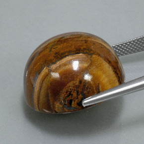 39.32캐럿 천연 골드 브라운 Tiger's Eye, 라운드 컷, 20.36 mm, 불투명체