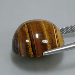 37.12캐럿 천연 골드 브라운 Tiger's Eye, 라운드 컷, 20.19 mm, 불투명체
