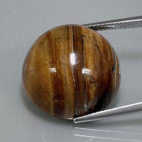 36.50캐럿 천연 웜 브라운 Tiger's Eye, 라운드 컷, 20.13 mm, 불투명체