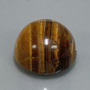 36.50캐럿 천연 웜 브라운 Tiger's Eye, 라운드 컷, 20.13 mm, 불투명체