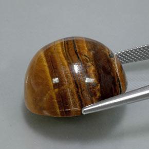 36.50캐럿 천연 웜 브라운 Tiger's Eye, 라운드 컷, 20.13 mm, 불투명체