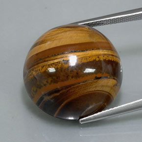 37.72캐럿 천연 골드 브라운 Tiger's Eye, 라운드 컷, 20.21 mm, 불투명체