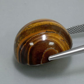 37.72캐럿 천연 골드 브라운 Tiger's Eye, 라운드 컷, 20.21 mm, 불투명체