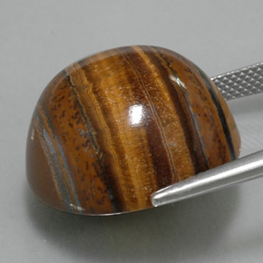 38.29캐럿 천연 골드 브라운 호랑이의 눈, 라운드 컷, 불투명체