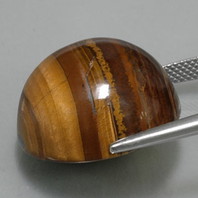 36.89캐럿 천연 골드 브라운 Tiger's Eye, 라운드 컷, 20.18 mm, 불투명체