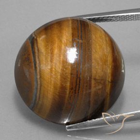 36.45캐럿 천연 웜 브라운 호랑이의 눈, 라운드 컷, 불투명체
