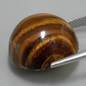 36.33캐럿 천연 골드 브라운 Tiger's Eye, 라운드 컷, 20.04 mm, 불투명체