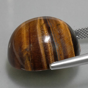 36.96캐럿 천연 골드 브라운 Tiger's Eye, 라운드 컷, 20.12 mm, 불투명체