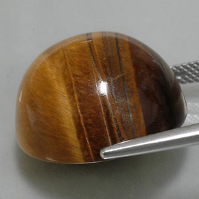 36.05캐럿 천연 골드 브라운 Tiger's Eye, 라운드 컷, 20.11 mm, 불투명체