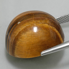 37.11캐럿 천연 진저브라운 Tiger's Eye, 라운드 컷, 20.05 mm, 불투명체
