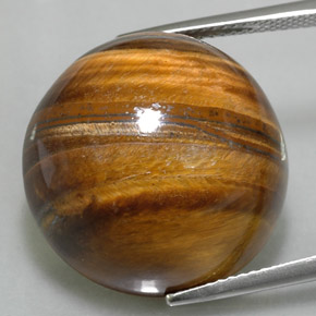 37.73캐럿 천연 골드 브라운 호랑이의 눈, 라운드 컷, 불투명체