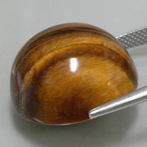 37.73캐럿 천연 골드 브라운 호랑이의 눈, 라운드 컷, 불투명체