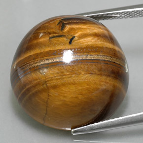 37.40캐럿 천연 골드 브라운 Tiger's Eye, 라운드 컷, 20.21 mm, 불투명체