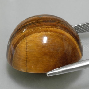 37.40캐럿 천연 골드 브라운 Tiger's Eye, 라운드 컷, 20.21 mm, 불투명체