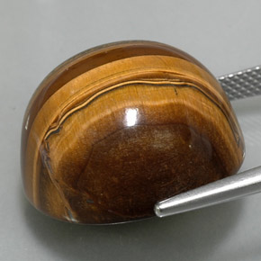 37.23캐럿 천연 골드 브라운 호랑이의 눈, 라운드 컷, 불투명체