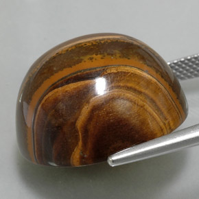 36.02캐럿 천연 골드 브라운 호랑이의 눈, 라운드 컷, 불투명체