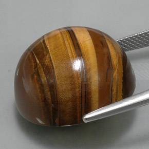 38.33캐럿 천연 골드 브라운 Tiger's Eye, 라운드 컷, 20.28 mm, 불투명체