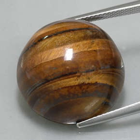 36.56캐럿 천연 골드 브라운 Tiger's Eye, 라운드 컷, 20.26 mm, 불투명체