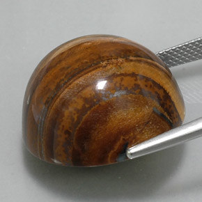 36.56캐럿 천연 골드 브라운 Tiger's Eye, 라운드 컷, 20.26 mm, 불투명체