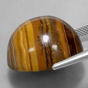 37.72캐럿 천연 골드 브라운 Tiger's Eye, 라운드 컷, 20.32 mm, 불투명체