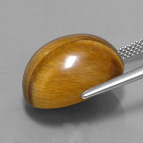 16.78캐럿 천연 골드 브라운 호랑이의 눈, 타원형 컷, 불투명체