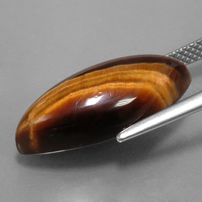 8.51캐럿 천연 골드 브라운 Tiger's Eye, 마퀴즈, 20.3×9.8 mm, 불투명체