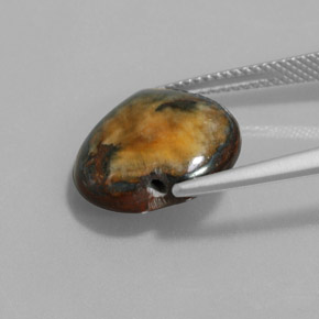 9.68캐럿 천연 골드 브라운 Tiger's Eye, 하트 모양, 14.3×13.8 mm, 불투명체