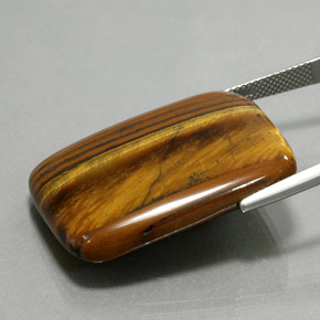 47.03캐럿 천연 골드 브라운 호랑이의 눈, 쿠션 컷, 불투명체