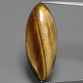 14.53캐럿 천연 골드 브라운 Tiger's Eye, 마퀴즈, 27.3×11 mm, 불투명체