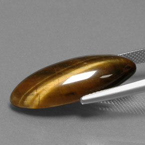 14.53캐럿 천연 골드 브라운 Tiger's Eye, 마퀴즈, 27.3×11 mm, 불투명체