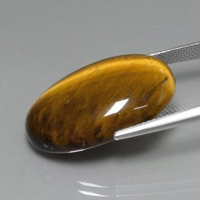 19.59캐럿 천연 골드 브라운 Tiger's Eye, 타원형 컷, 24.7×16.6 mm, 불투명체
