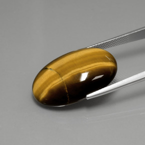 18.94캐럿 천연 웜 브라운 호랑이의 눈, 타원형 컷, 불투명체