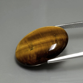 22.43캐럿 천연 골드 브라운 Tiger's Eye, 타원형 컷, 25.2×20.3 mm, 불투명체