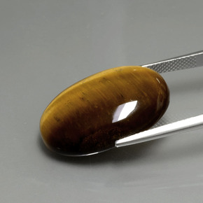 20.21캐럿 천연 골드 브라운 Tiger's Eye, 타원형 컷, 24.7×16.7 mm, 불투명체
