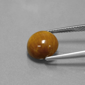 3.69캐럿 천연 골드 브라운 Tiger's Eye, 라운드 컷, 10.06 mm, 불투명체