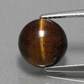 2.79캐럿 천연 골드 브라운 Tiger's Eye, 라운드 컷, 9.05 mm, 불투명체