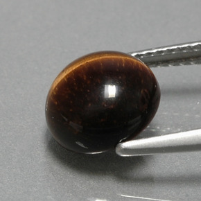 2.79캐럿 천연 골드 브라운 Tiger's Eye, 라운드 컷, 9.05 mm, 불투명체