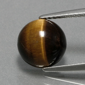 2.78캐럿 천연 골드 브라운 Tiger's Eye, 라운드 컷, 9.07 mm, 불투명체