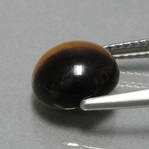 2.78캐럿 천연 골드 브라운 Tiger's Eye, 라운드 컷, 9.07 mm, 불투명체