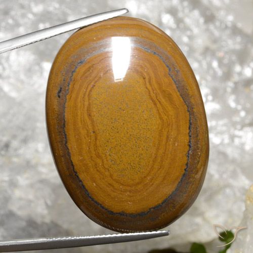 63.98ct 자연스러운 골든 브라운 호랑이의 눈, 타원형, 불투명체