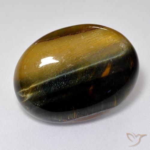 15.79ct 자연스러운 골드 브라운 호랑이의 눈, 타원형, 불투명체