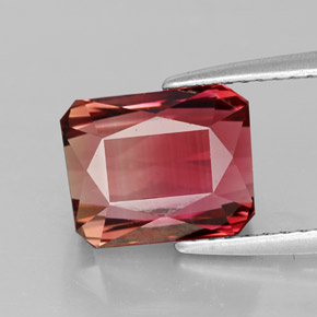 3.90캐럿 천연 바이컬러 투르말린, 에메랄드 컷, 9.4×7.6 mm, VVS