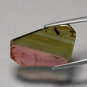 12.07캐럿 천연 워터멜론 투르말린, 투명한, 25.4×14.9 mm, 투명/반투명