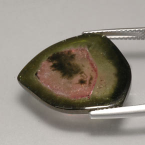 12.35캐럿 천연 워터멜론 투르말린, 투명한, 21.2×19.9 mm, 투명/반투명